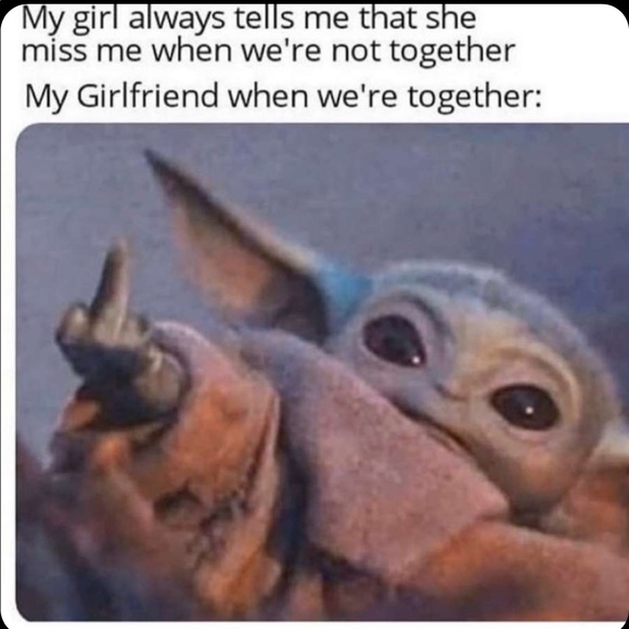 Meet your Posher, Sidney - Picture 5 of 5